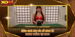 Cách chơi xóc đĩa